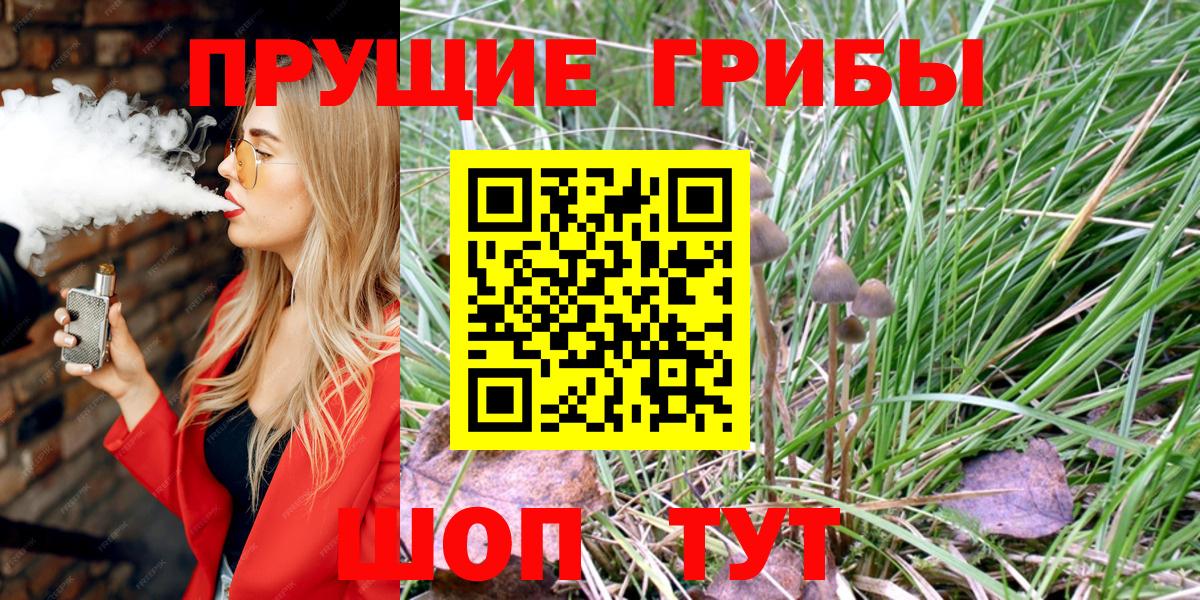 Волгодонск  Галлюциногенные грибы ЛСД  Вход с VPN 